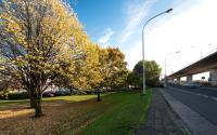 Beeld 5, klik om te vergroten
