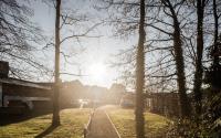 Beeld 13, klik om te vergroten
