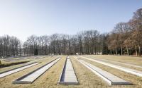 Beeld 6, klik om te vergroten