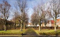Beeld 5, klik om te vergroten