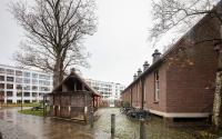 Beeld 5, klik om te vergroten