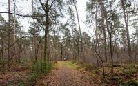 Beeld 12, klik om te vergroten