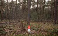 Beeld 17, klik om te vergroten