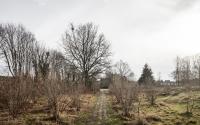 Beeld 18, klik om te vergroten