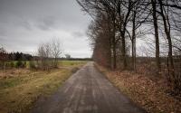 Beeld 5, klik om te vergroten