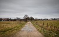 Beeld 6, klik om te vergroten