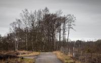 Beeld 9, klik om te vergroten