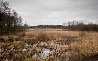 Beeld 2, klik om te vergroten