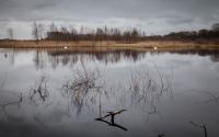 Beeld 10, klik om te vergroten