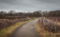Beeld 11, klik om te vergroten