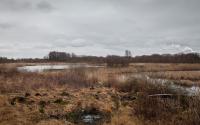 Beeld 12, klik om te vergroten