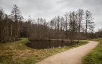 Beeld 18, klik om te vergroten