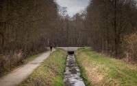 Beeld 20, klik om te vergroten