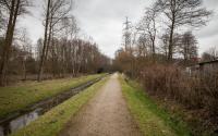 Beeld 25, klik om te vergroten