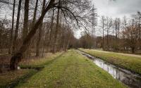 Beeld 27, klik om te vergroten