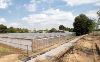 Beeld 9, klik om te vergroten