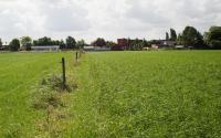 Beeld 3, klik om te vergroten