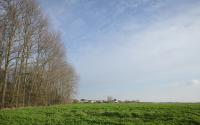 Beeld 7, klik om te vergroten