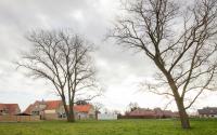 Beeld 6, klik om te vergroten