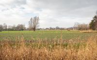 Beeld 8, klik om te vergroten