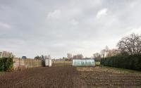 Beeld 16, klik om te vergroten