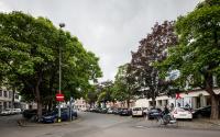 Beeld 9, klik om te vergroten