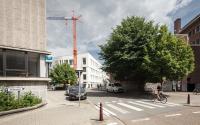Beeld 20, klik om te vergroten