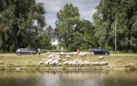 Beeld 4, klik om te vergroten