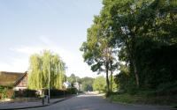 Beeld 4, klik om te vergroten