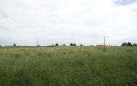 Image 7, click to enlarge