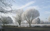 Beeld 6, klik om te vergroten