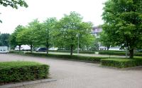 Beeld 3, klik om te vergroten