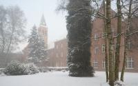 Beeld 3, klik om te vergroten