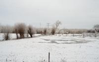 Beeld 4, klik om te vergroten