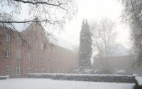 Beeld 4, klik om te vergroten