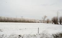 Beeld 6, klik om te vergroten