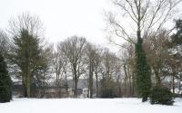 Beeld 8, klik om te vergroten