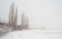 Beeld 6, klik om te vergroten