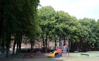 Beeld 3, klik om te vergroten