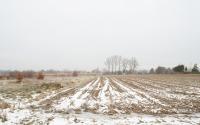 Beeld 5, klik om te vergroten