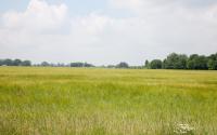 Beeld 2, klik om te vergroten