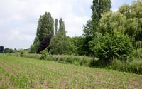 Beeld 4, klik om te vergroten