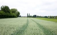 Beeld 5, klik om te vergroten