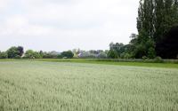 Beeld 6, klik om te vergroten