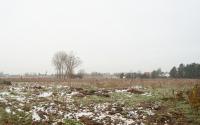 Beeld 7, klik om te vergroten