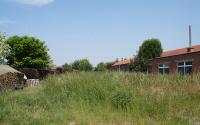 Image 5, click to enlarge