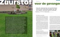 Beeld 2, klik om te vergroten