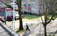 Beeld 3, klik om te vergroten
