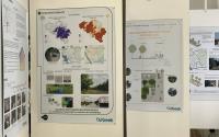 Beeld 6, klik om te vergroten