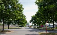 Beeld 9, klik om te vergroten